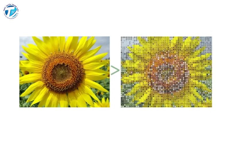 Chỉnh sửa ảnh bitmap từ từng pixel